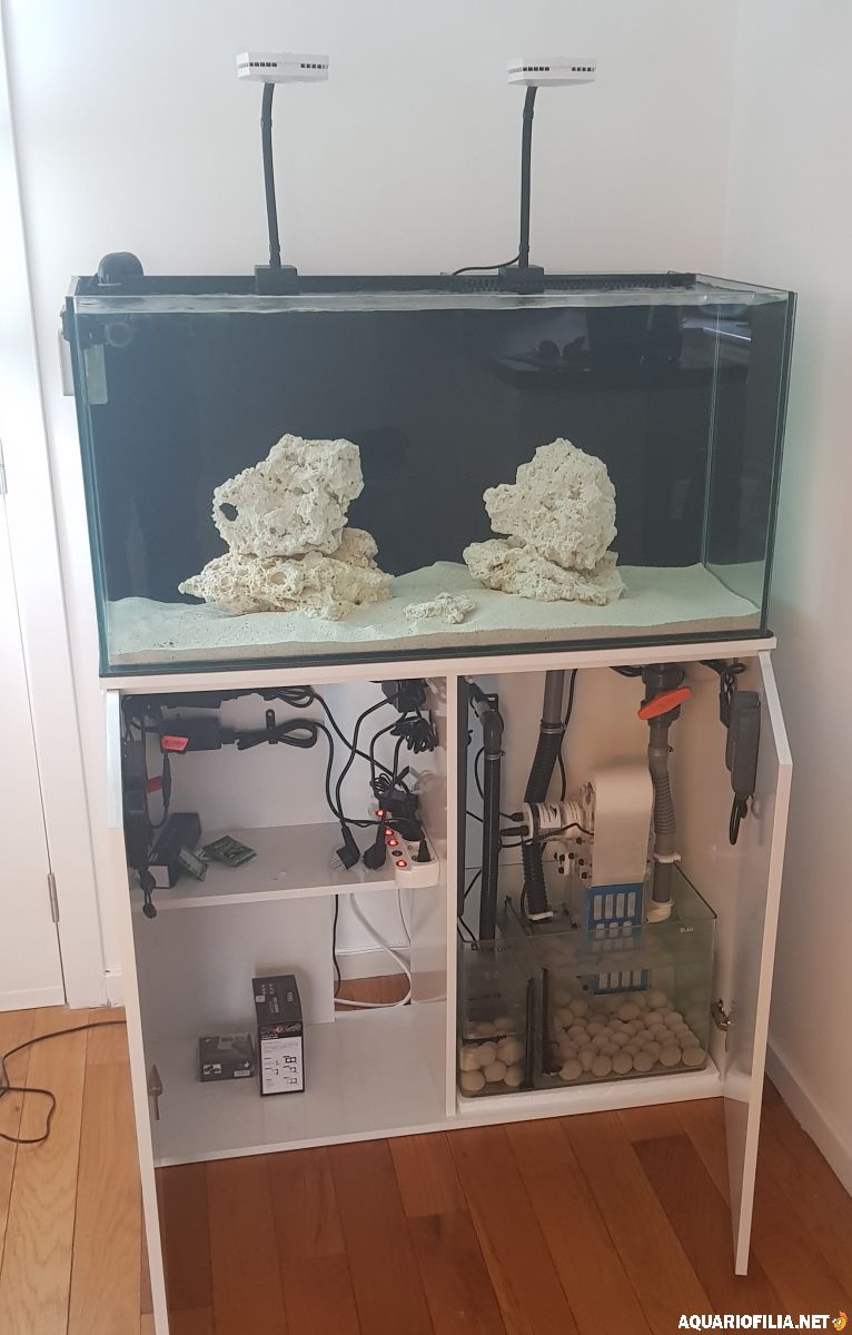 Sten och levande sand på plats