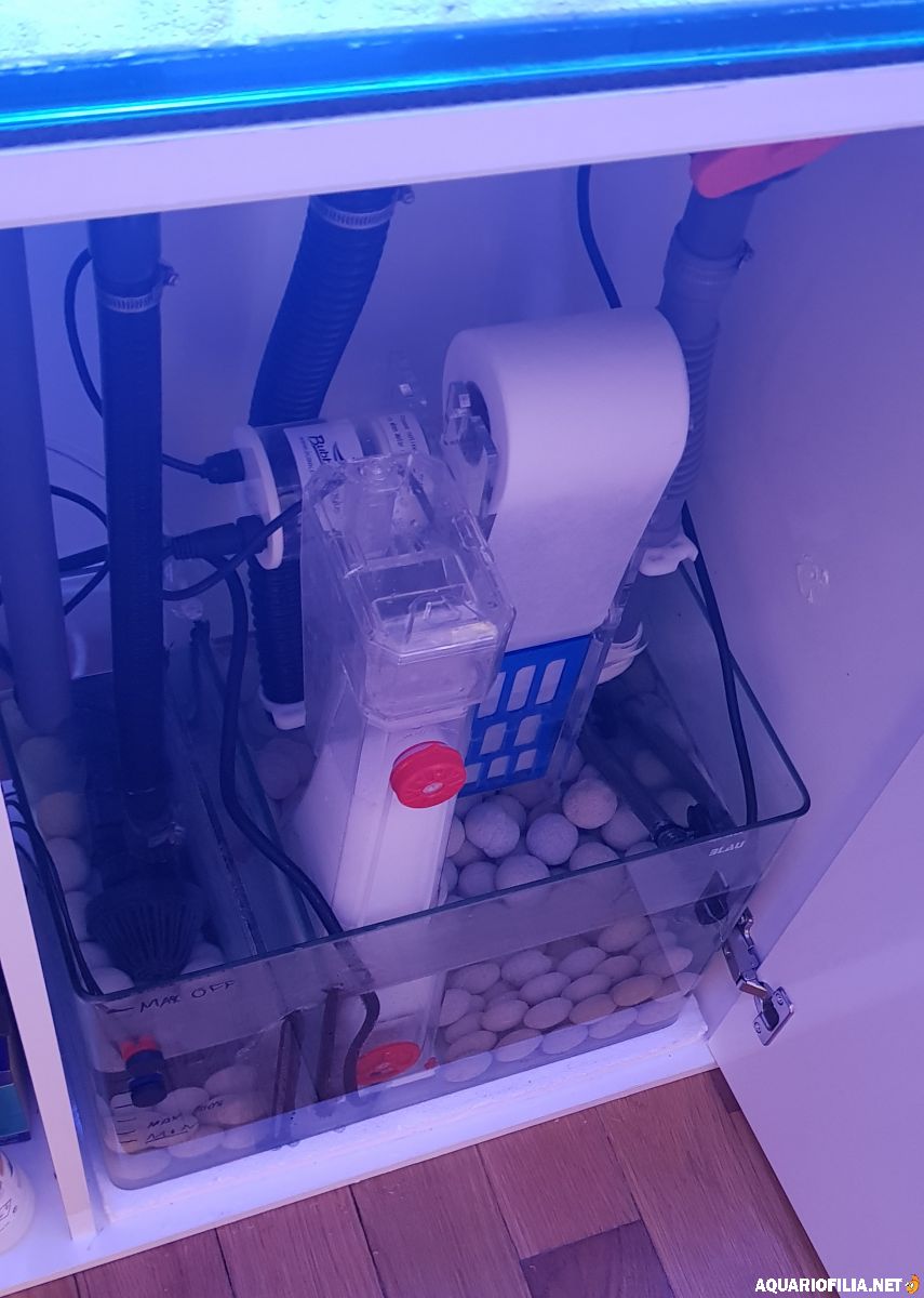 Skimmern på plats i sumpen