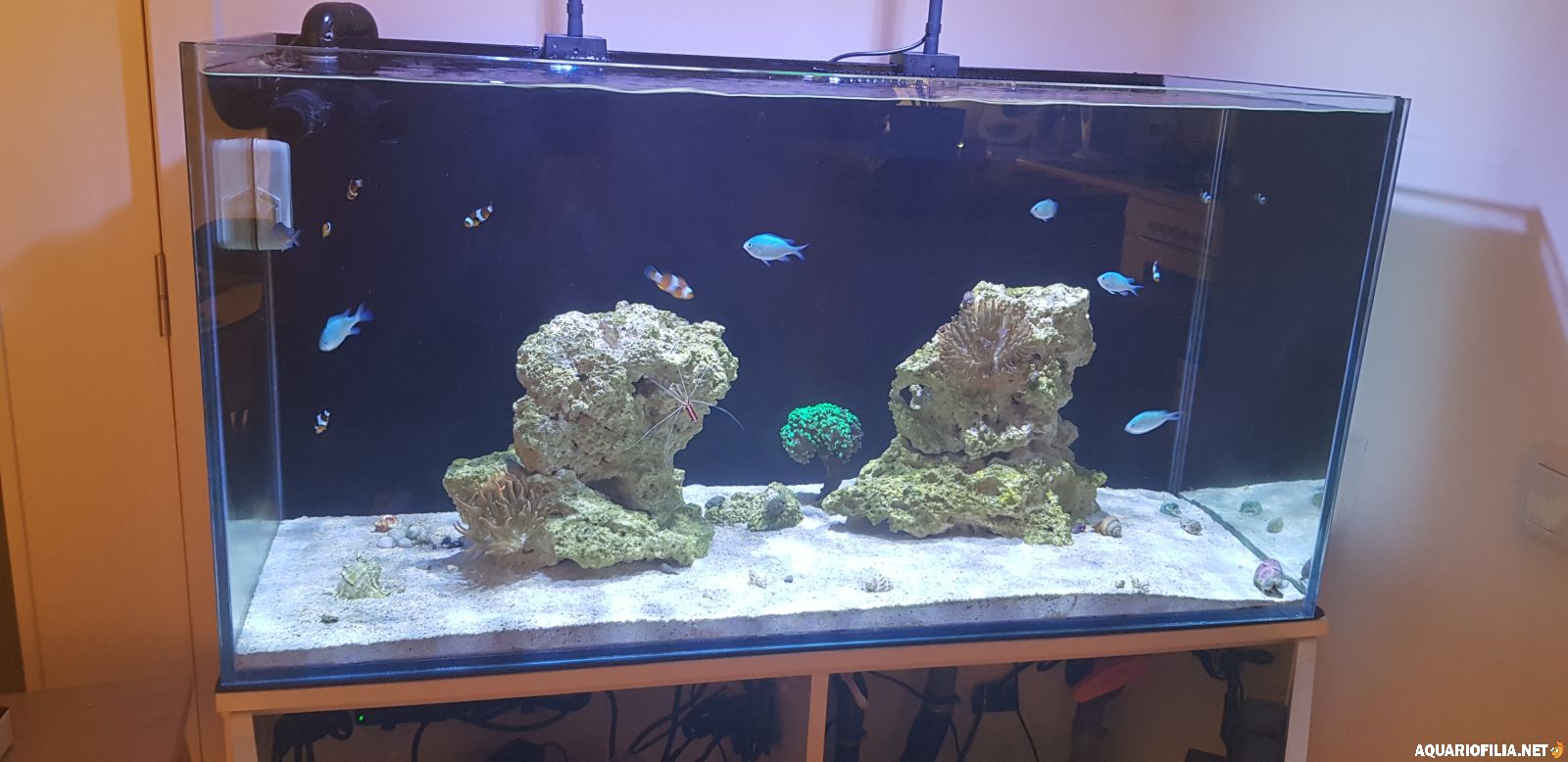 DIY chaeto-tumbler i svart expanderad PVC