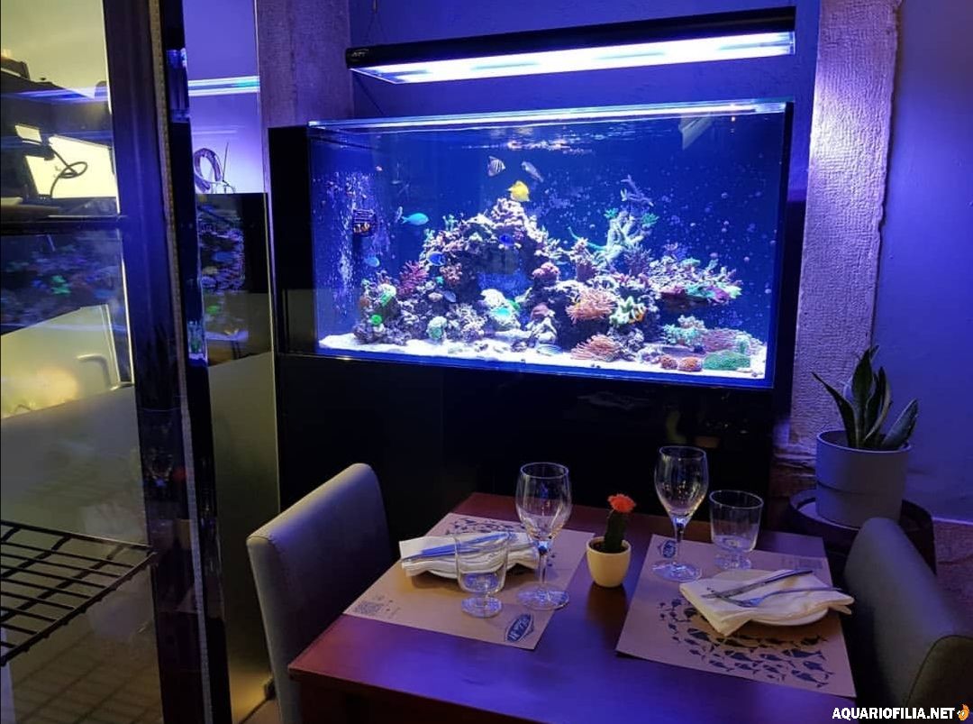Hela karet sett från restaurangen, monterat ovanför ett dukat bord