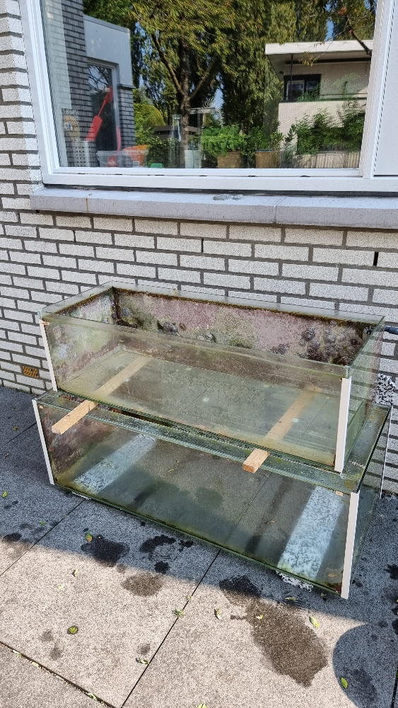 Flytt av invånarna till sektion 1 (7)