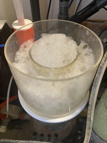 Skimmern som gått bärsärk mitt i natten