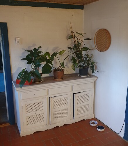 Platsen i nya huset där lagunen ska byggas