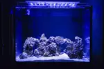Blau LED-ramp 96-2 monterad över akvariet