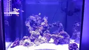 Aquascaping version 7.0