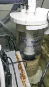 Biopelletsreaktor (NP) i sumpen