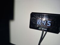 Detalj på korallfärger